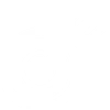 goal-icon